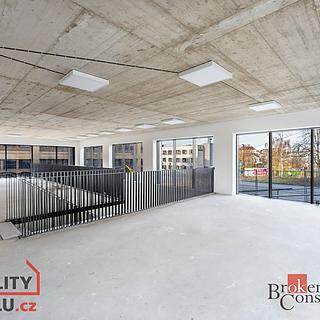 Pronájem obchodu 238 m² Plzeň Východní Předměstí, Zahradní