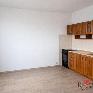 Prodej bytu 1+1 36 m² Teplice Trnovany, Antala Staška