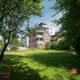 Pronájem bytu 2+kk 46 m² Ostrava