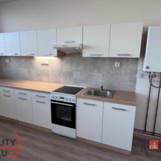 Pronájem bytu 2+kk 55 m² Mlékojedy