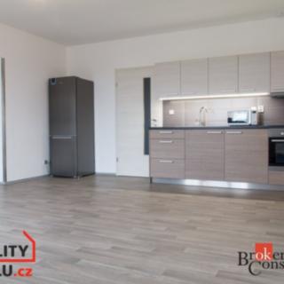 Pronájem bytu 1+kk a garsoniéry 37 m²