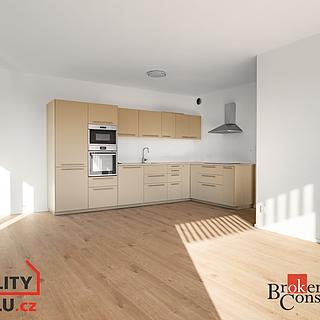 Pronájem bytu 3+kk 85 m² Plzeň Východní Předměstí, Kartónová