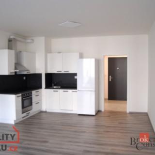 Pronájem bytu 1+kk a garsoniéry 39 m² Plzeň Jižní Předměstí, Goldscheiderova