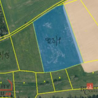 Prodej louky 44 551 m² Miličín