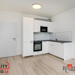 Pronájem bytu 1+kk a garsoniéry 29 m² Plzeň Jižní Předměstí, Magisterská