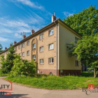 Pronájem bytu 2+1 54 m² Pardubice, Dašická
