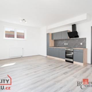 Pronájem bytu 1+kk a garsoniéry 36 m² Heřmanova Huť Vlkýš, U Pondu