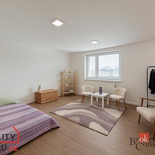Pronájem bytu 1+1 40 m² Opava Předměstí, Hobzíkova