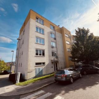 Pronájem bytu 2+kk 44 m² Praha Motol, Jeřabinová