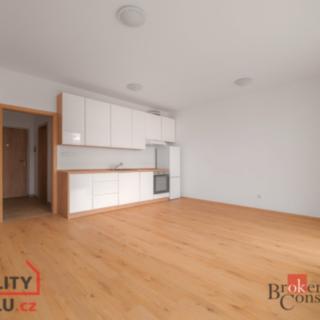 Pronájem bytu 1+kk, garsoniery 36 m² Plzeň