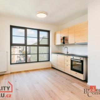 Pronájem bytu 1+kk a garsoniéry 24 m² Brno Zábrdovice, Bratislavská