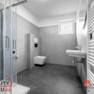 Pronájem bytu 2+kk 47 m² Břasy