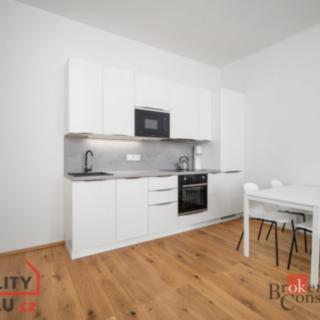 Pronájem bytu 1+1 46 m² Praha Holešovice, U průhonu