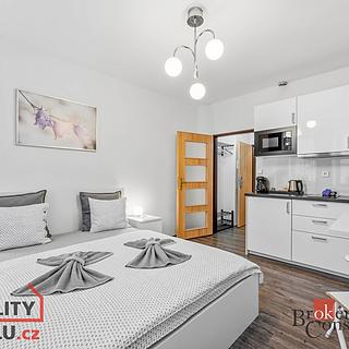 Prodej hotelu a penzionu 400 m² Broumov, Malé náměstí