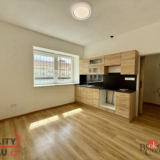 Pronájem ostatní nemovitosti 52 m² Chomutov, náměstí 1. Máje