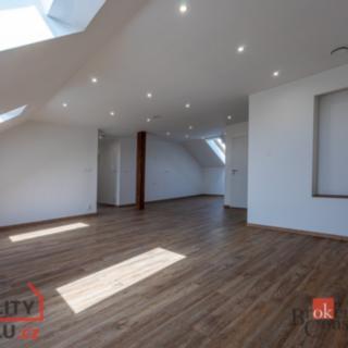 Prodej bytu 5+kk 133 m² Plzeň