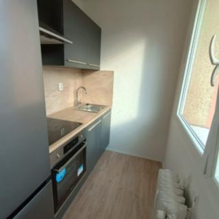 Pronájem bytu 1+1 21 m² Most