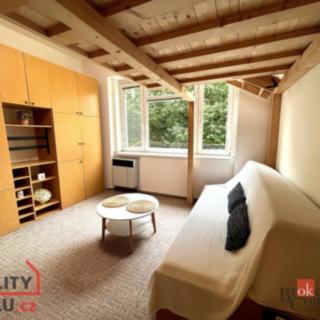 Prodej bytu 1+kk, garsoniery 22 m² Brno