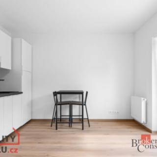 Pronájem bytu 1+kk a garsoniéry 22 m² Tuchoměřice, V Kněžívce