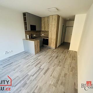 Pronájem bytu 1+kk, garsoniery 30 m&sup2; Plzeň