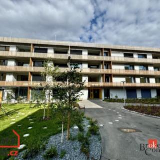 Pronájem bytu 1+kk a garsoniéry 43 m² Plzeň Východní Předměstí, Kartónová