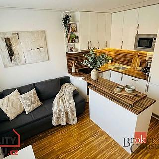 Pronájem bytu 1+1 40 m² Cvikov II, Sídliště