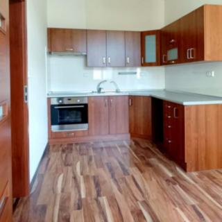 Pronájem bytu 1+1 49 m² Ostrava