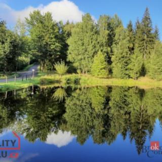 Prodej ostatního pozemku 5 094 m² Desná II, Na Moravě