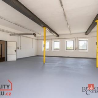 Pronájem skladu 148 m² Velké Němčice, Boudky