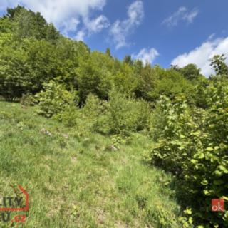 Prodej stavební parcely 1 161 m² Janov nad Nisou Hraničná