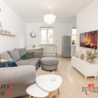 Prodej bytu 3+1 63 m² Cheb, Růžová
