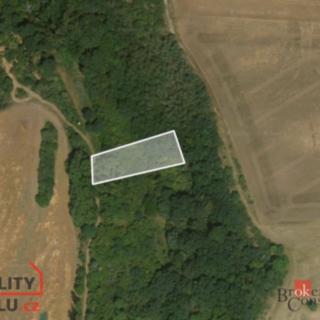 Prodej ostatního pozemku 802 m² Staňkovice Tvršice