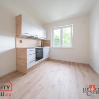 Pronájem bytu 1+1 37 m² Ostrava Mariánské Hory, Cottonové