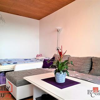 Pronájem bytu 1+1 32 m² Nové Město nad Metují, Malecí