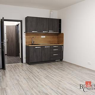 Pronájem bytu 1+kk, garsoniery 30 m&sup2; Plzeň