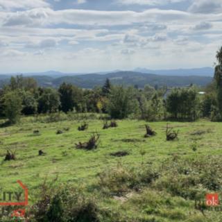 Prodej stavební parcely 4 351 m² Svojkov