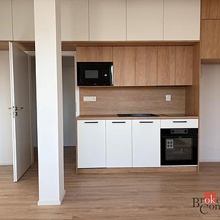 Pronájem bytu 1+kk a garsoniéry 27 m² Opava Kateřinky, Rolnická