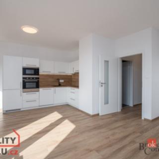 Pronájem bytu 2+kk 60 m² Plzeň Východní Předměstí, Sladová