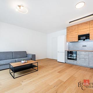 Pronájem bytu 1+kk, garsoniery 36 m&sup2; Brno