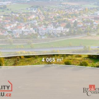 Prodej zemědělské půdy 4065 m² Oslavice