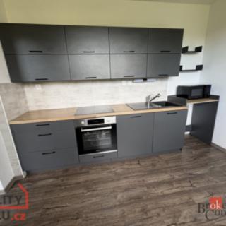 Pronájem bytu 2+1 55 m² Razová