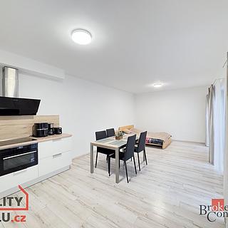 Prodej bytu 2+kk 63 m² Plzeň Východní Předměstí, Sladová