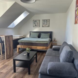 Prodej bytu 1+kk, garsoniery 52 m² Vrbno pod Pradědem