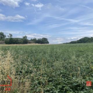 Prodej stavební parcely 788 m² Hustopeče
