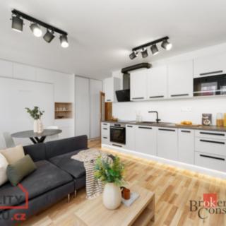 Pronájem bytu 1+kk a garsoniéry 31 m² Praha Kyje, Davidovičova