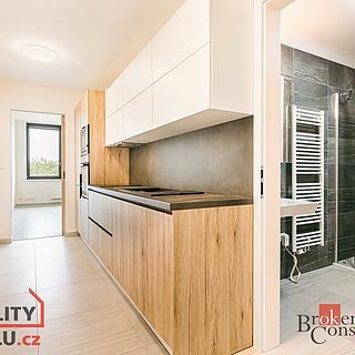 Pronájem bytu 1+1 54 m² Rosice