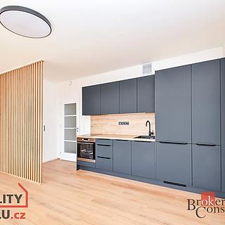 Prodej bytu 1+kk a garsoniéry 31 m² Praha Dolní Chabry, Ústecká