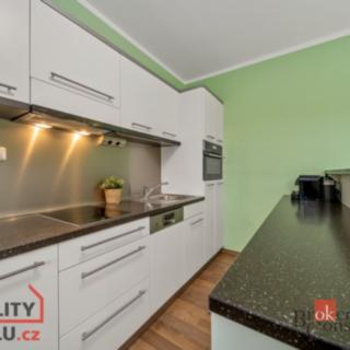 Prodej bytu 1+kk, garsoniery 46 m² Říčky v Orlických horách