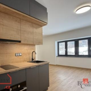 Prodej bytu 2+kk 85 m² Loučná nad Desnou Rejhotice
