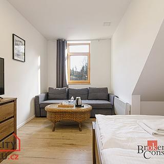 Prodej bytu 1+kk a garsoniéry 20 m² Horní Lhota